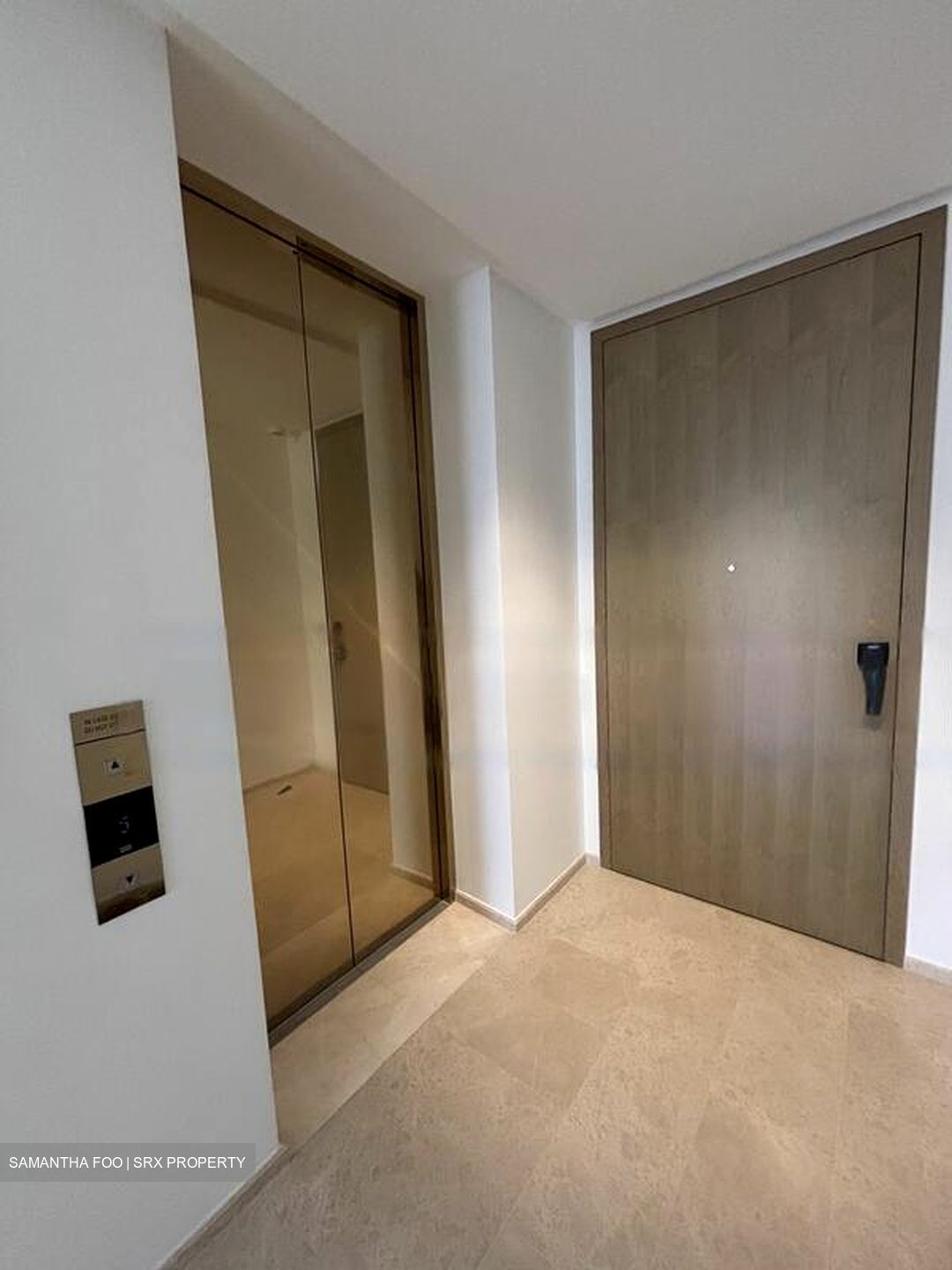 Klimt Cairnhill (D9), Apartment #459488921